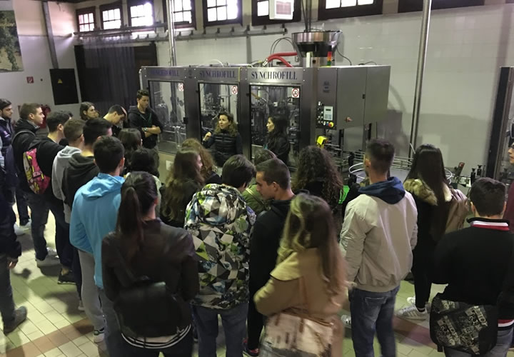 Students from the Business Administration and Economics Department (BAED) of the International Faculty, CITY College, visited Ktima Gerovassiliou Vineyard